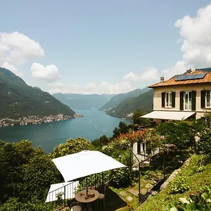 Le Ortensie Faggeto Lario